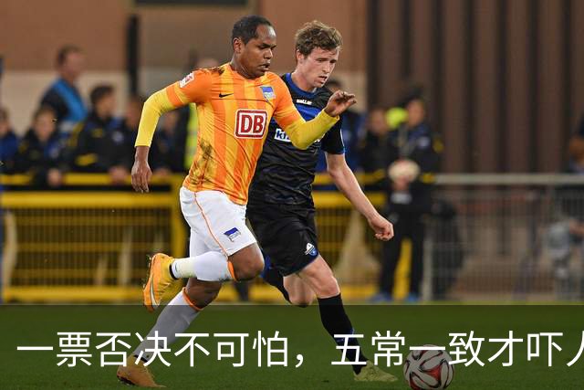 一票否决不可怕，五常一致才吓人，五双手同时举就有国家要变天