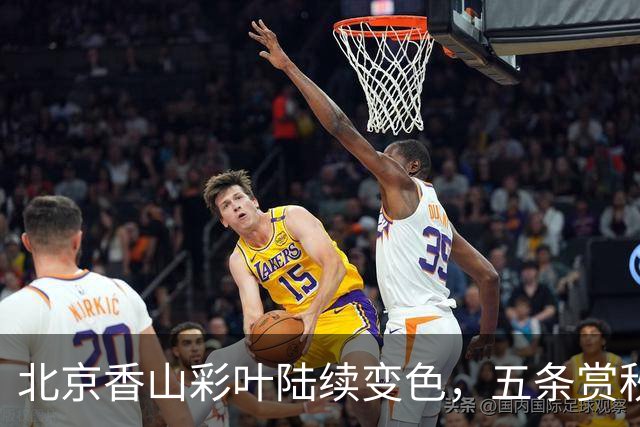 北京香山彩叶陆续变色，五条赏秋线路各有特点