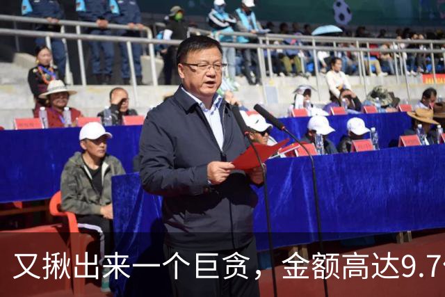 又揪出来一个巨贪，金额高达9.7亿，首富夫人郝斌跨境逃亡失败了