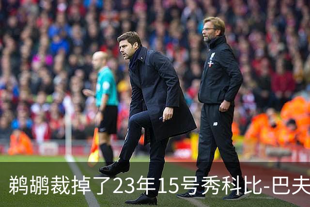 鹈鹕裁掉了23年15号秀科比-巴夫金和前锋杰隆-摩尔
